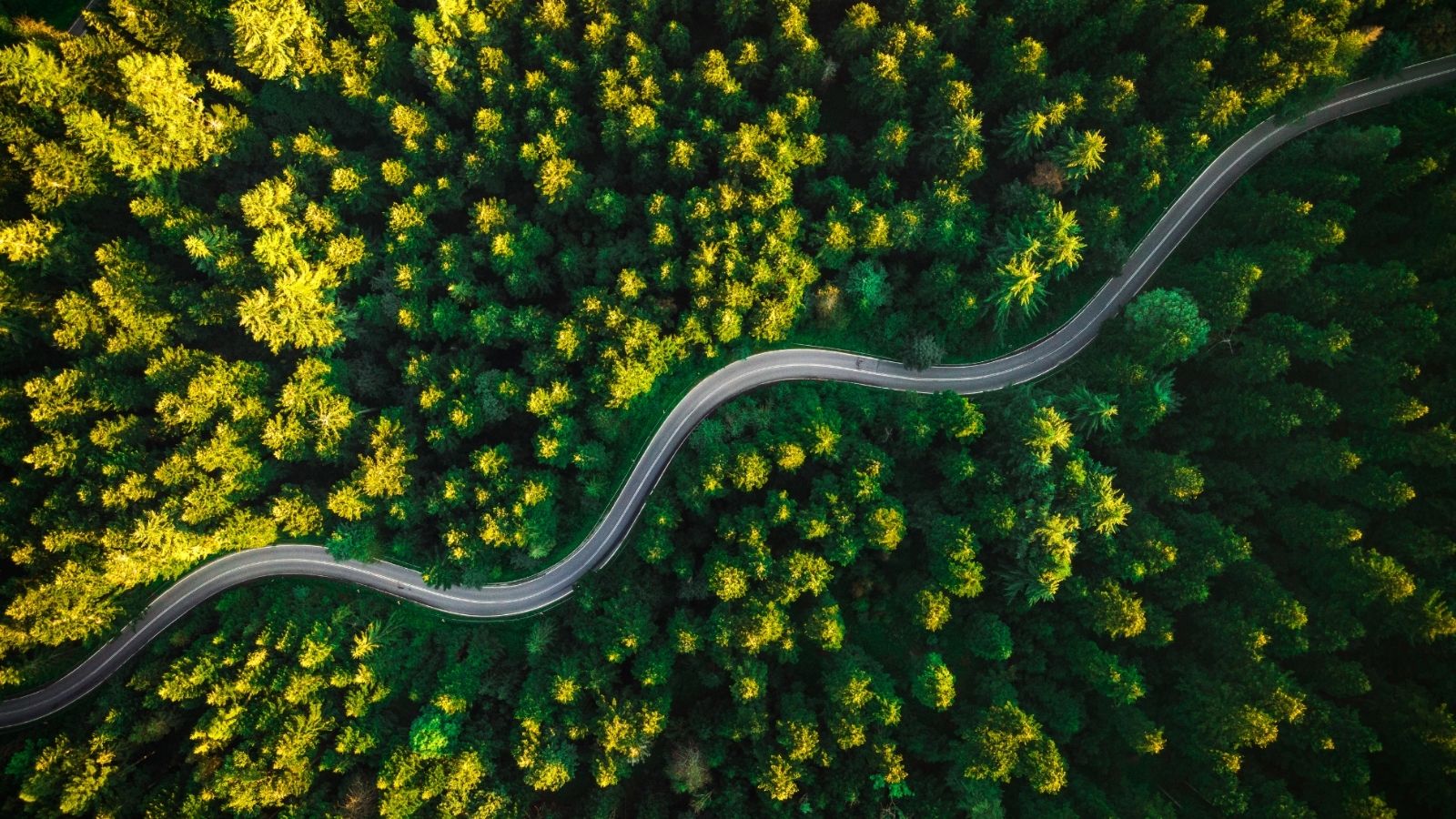 Making Your Journey Matter