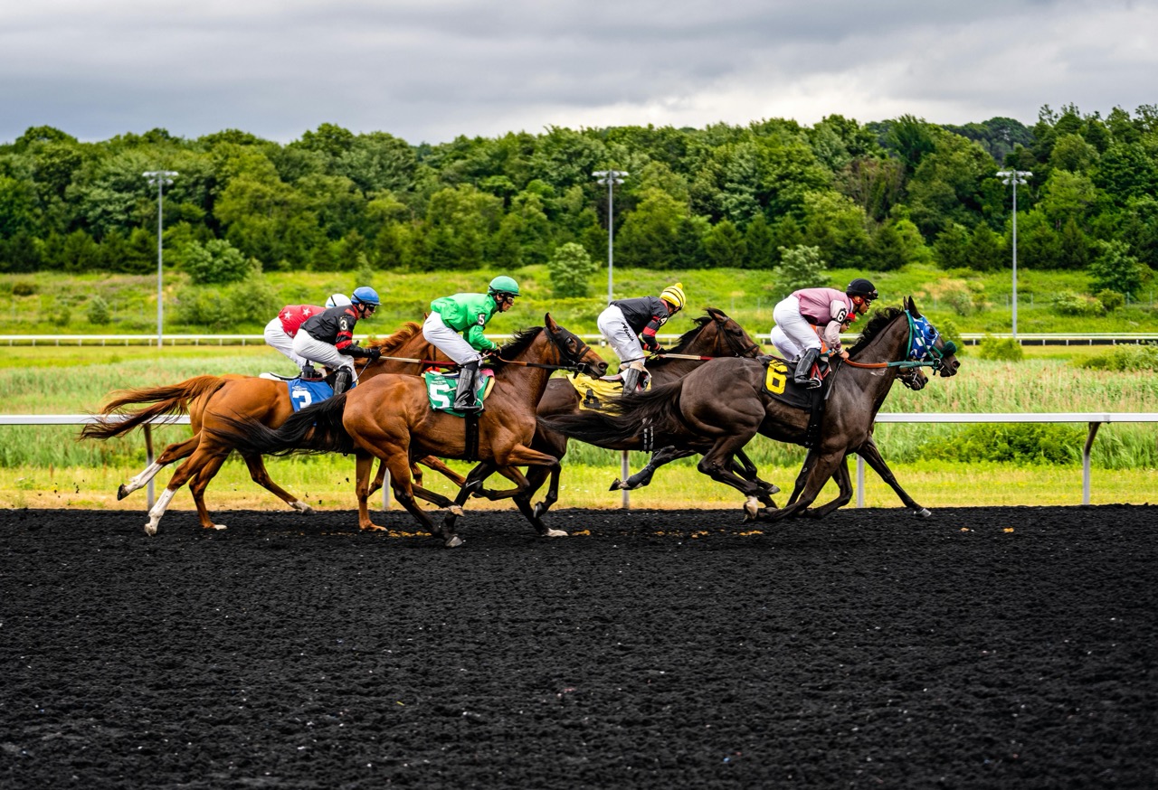 Why Visitor Experience is Horse Racing’s Biggest Opportunity